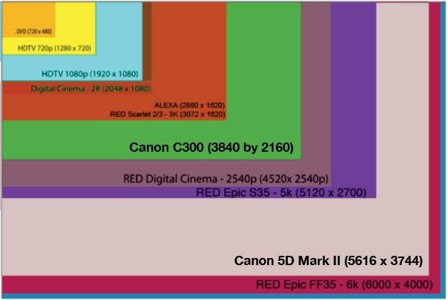 Canon Sensor Size Chart