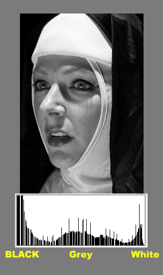 A Well Exposed Nun Photo with Histogram