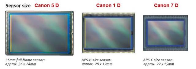 Canon DSLR Sensor comparison 5D 1D and 7D